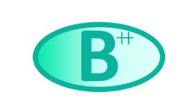 Borionics Logo
